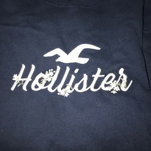 holistic sweatshirt no hood